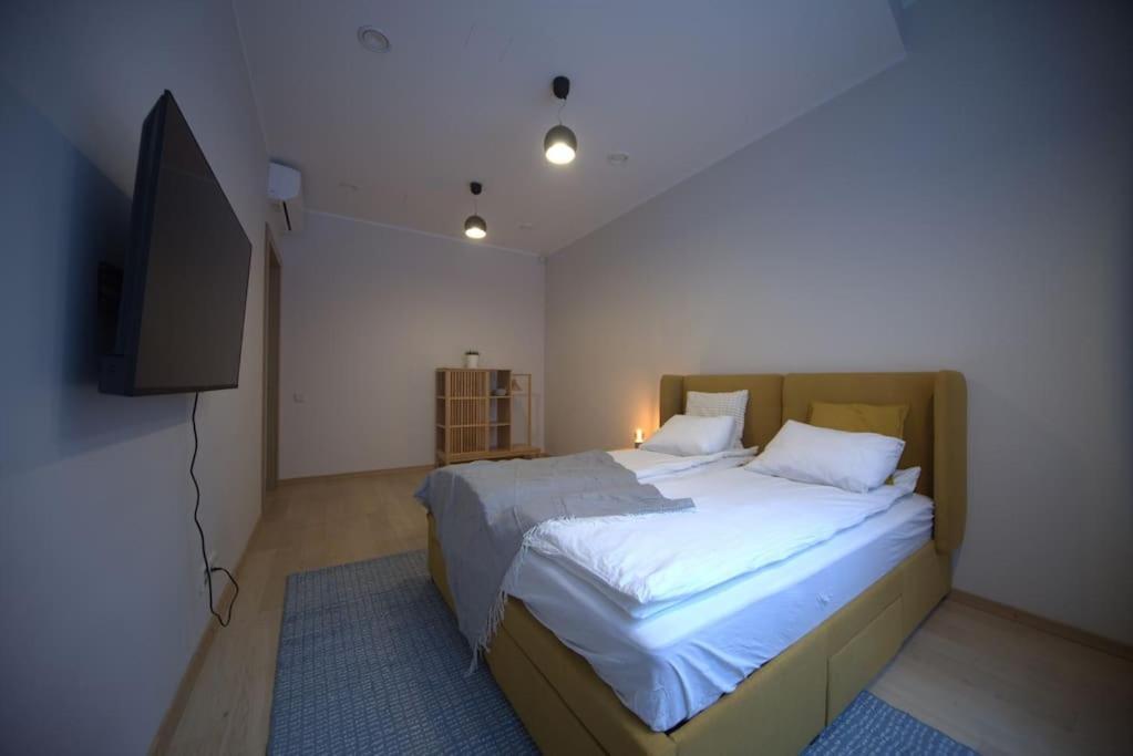 3 Bedroom Apartment In The Old/T 里加 外观 照片